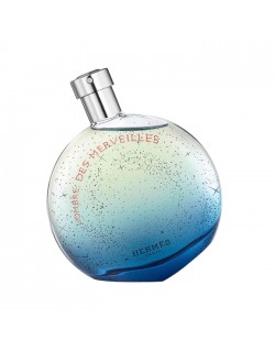 L'OMBRE DES MERVEILLES