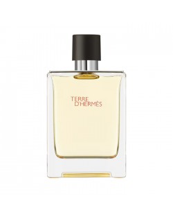 Terre D'Hermes Eau de Toilette